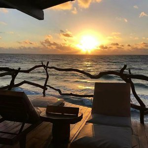 含羞草亚洲AV无码久久精品
