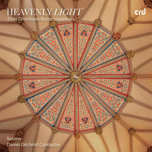 含羞草亚洲AV无码久久精品
